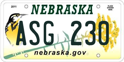 NE license plate ASG230