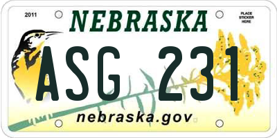NE license plate ASG231