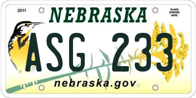 NE license plate ASG233