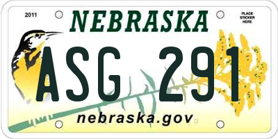 NE license plate ASG291