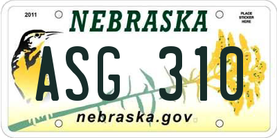 NE license plate ASG310