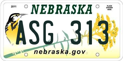 NE license plate ASG313