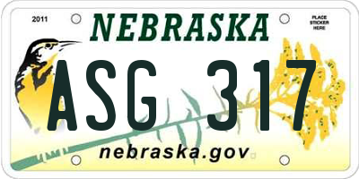 NE license plate ASG317
