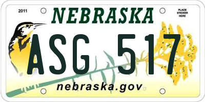 NE license plate ASG517