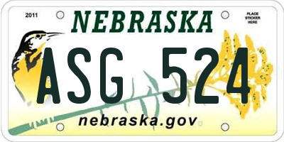 NE license plate ASG524
