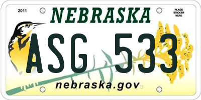 NE license plate ASG533