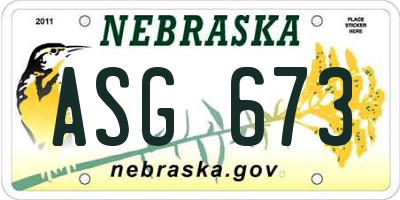 NE license plate ASG673