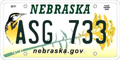 NE license plate ASG733