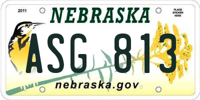 NE license plate ASG813