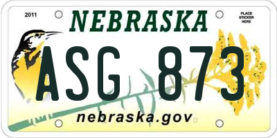 NE license plate ASG873