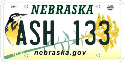 NE license plate ASH133