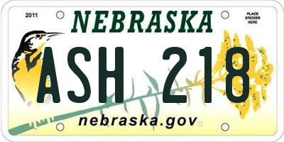 NE license plate ASH218