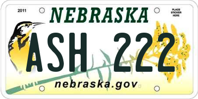 NE license plate ASH222