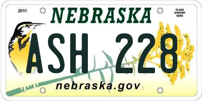 NE license plate ASH228