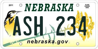 NE license plate ASH234