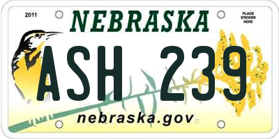 NE license plate ASH239