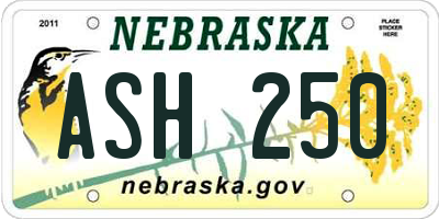 NE license plate ASH250