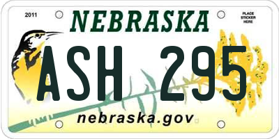NE license plate ASH295