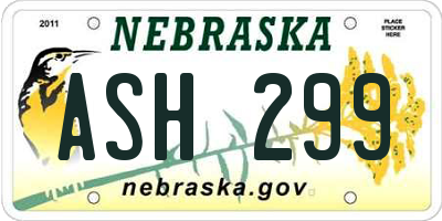 NE license plate ASH299