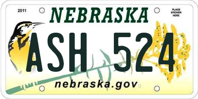 NE license plate ASH524