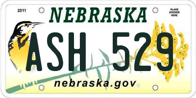 NE license plate ASH529