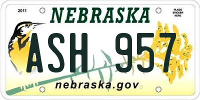 NE license plate ASH957