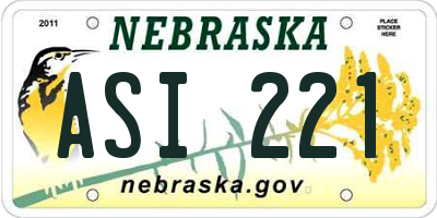 NE license plate ASI221