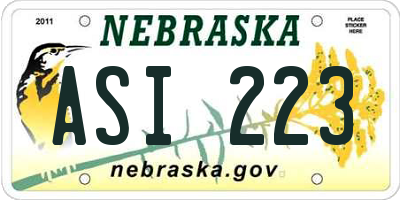NE license plate ASI223