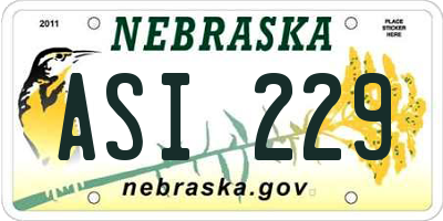 NE license plate ASI229