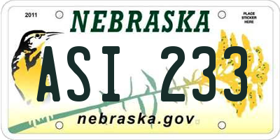 NE license plate ASI233
