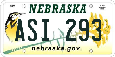 NE license plate ASI293
