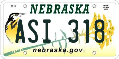NE license plate ASI318