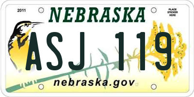 NE license plate ASJ119