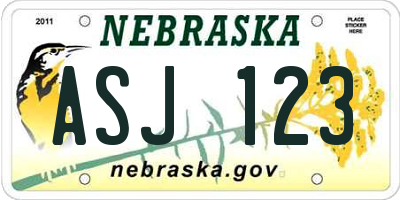 NE license plate ASJ123