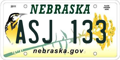 NE license plate ASJ133