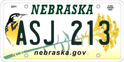 NE license plate ASJ213
