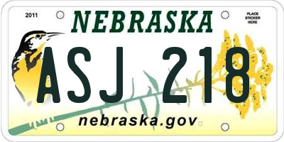 NE license plate ASJ218