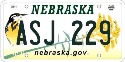NE license plate ASJ229