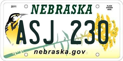 NE license plate ASJ230