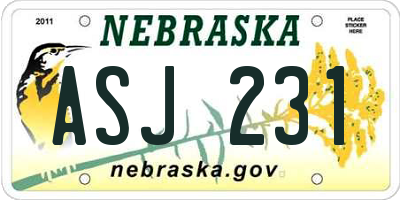 NE license plate ASJ231