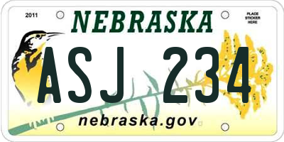 NE license plate ASJ234