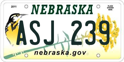 NE license plate ASJ239