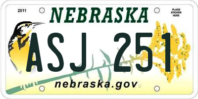 NE license plate ASJ251
