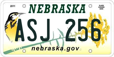 NE license plate ASJ256