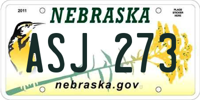 NE license plate ASJ273