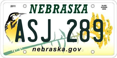 NE license plate ASJ289