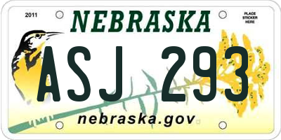 NE license plate ASJ293