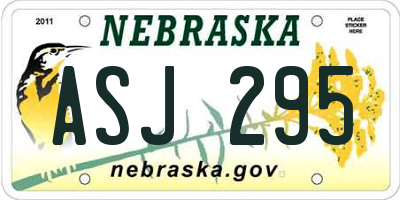 NE license plate ASJ295