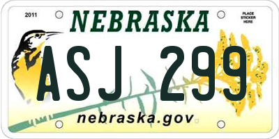 NE license plate ASJ299
