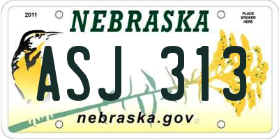 NE license plate ASJ313